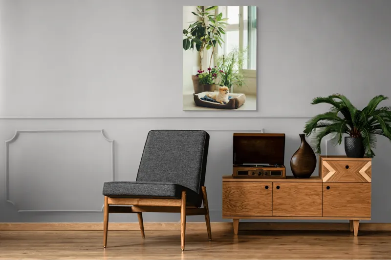 Tablou Canvas, "Cățel fericit în culcușul lui confortabil", Plante, Fereastră, Cățeluș, Relaxare, Lumină, Ghiveci, Interior, Verdeață., 70 x 100 cm – poza 6