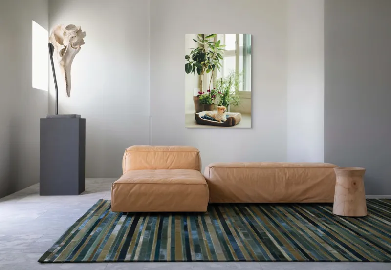 Tablou Canvas, "Cățel fericit în culcușul lui confortabil", Plante, Fereastră, Cățeluș, Relaxare, Lumină, Ghiveci, Interior, Verdeață., 70 x 100 cm – poza 7