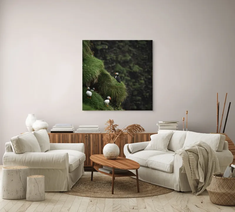 Tablou Canvas, "Puffini pe stâncile verzi din larg", Puffini, Stâncă, Vegetație, Verde, Pene, Natură, Acvatic, Cuibărire, 100 x 100 cm – poza 3