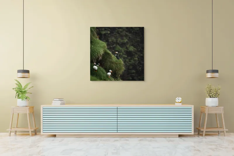 Tablou Canvas, "Puffini pe stâncile verzi din larg", Puffini, Stâncă, Vegetație, Verde, Pene, Natură, Acvatic, Cuibărire, 100 x 100 cm – poza 5