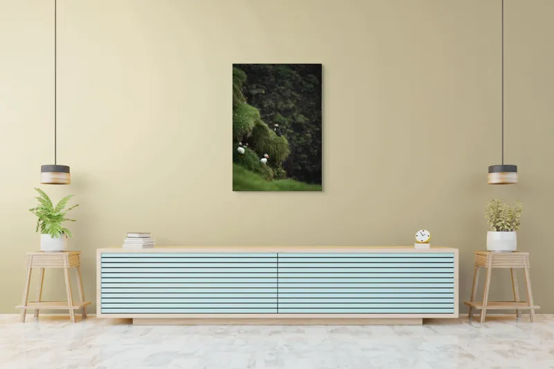 Tablou Canvas, "Puffini pe stâncile verzi din larg", Puffini, Stâncă, Vegetație, Verde, Pene, Natură, Acvatic, Cuibărire, 70 x 100 cm – poza 5