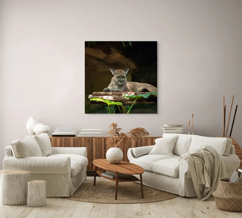 Tablou Canvas, "Puma odihnindu-se pe trunchi de copac", Pumă, Stând, Odihnă, Trunchi, Vegetație, Natură, Felină, Blană, Frunze, Umbră, 100 x 100 cm – poza 3