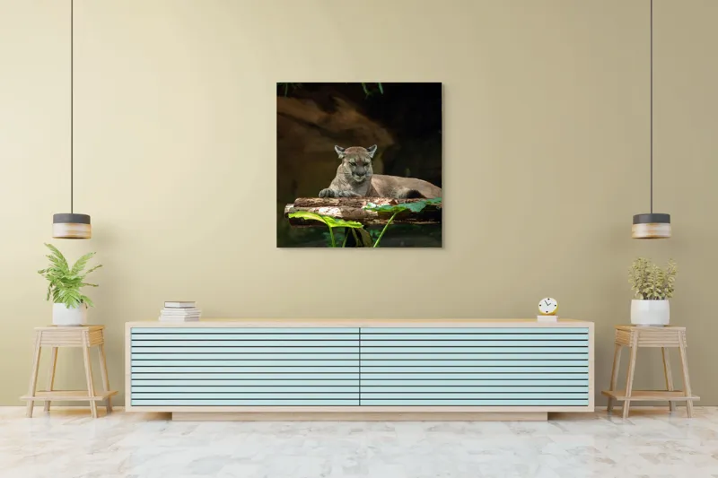 Tablou Canvas, "Puma odihnindu-se pe trunchi de copac", Pumă, Stând, Odihnă, Trunchi, Vegetație, Natură, Felină, Blană, Frunze, Umbră, 100 x 100 cm – poza 5
