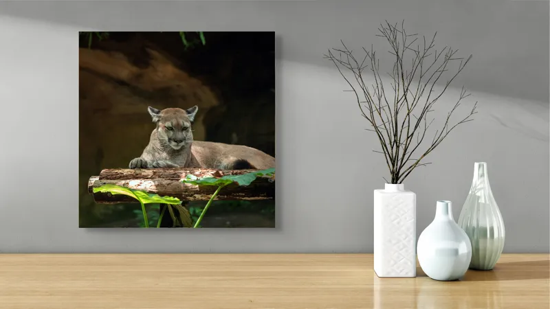 Tablou Canvas, "Puma odihnindu-se pe trunchi de copac", Pumă, Stând, Odihnă, Trunchi, Vegetație, Natură, Felină, Blană, Frunze, Umbră, 50 x 50 cm – poza 3