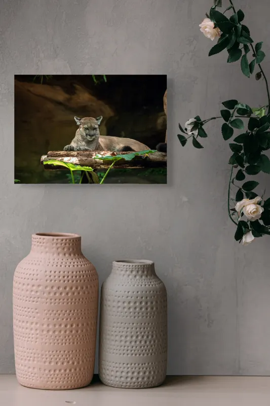 Tablou Canvas, "Puma odihnindu-se pe trunchi de copac", Pumă, Stând, Odihnă, Trunchi, Vegetație, Natură, Felină, Blană, Frunze, Umbră, 54 x 39 cm – poza 8