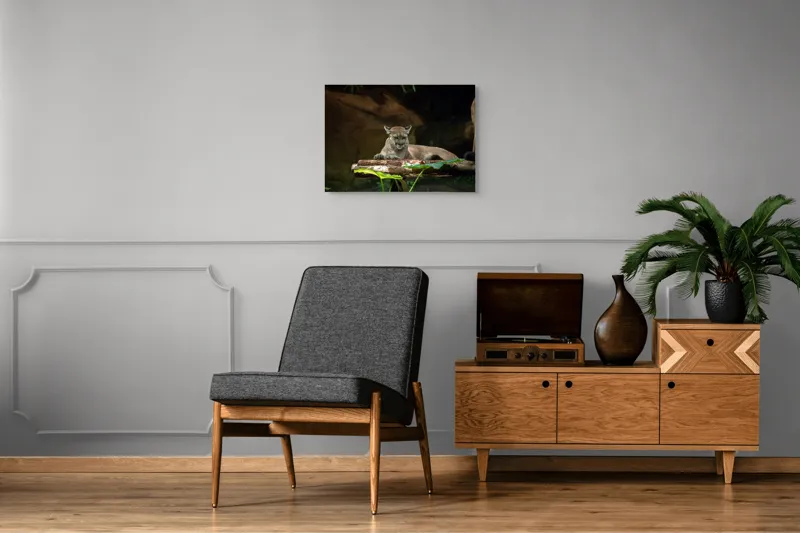 Tablou Canvas, "Puma odihnindu-se pe trunchi de copac", Pumă, Stând, Odihnă, Trunchi, Vegetație, Natură, Felină, Blană, Frunze, Umbră, 70 x 50 cm – poza 4
