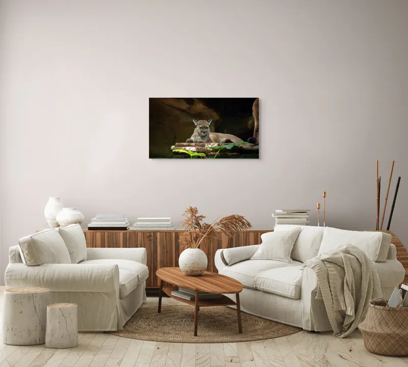 Tablou Canvas, "Puma odihnindu-se pe trunchi de copac", Pumă, Stând, Odihnă, Trunchi, Vegetație, Natură, Felină, Blană, Frunze, Umbră, 90 x 50 cm – poza 4