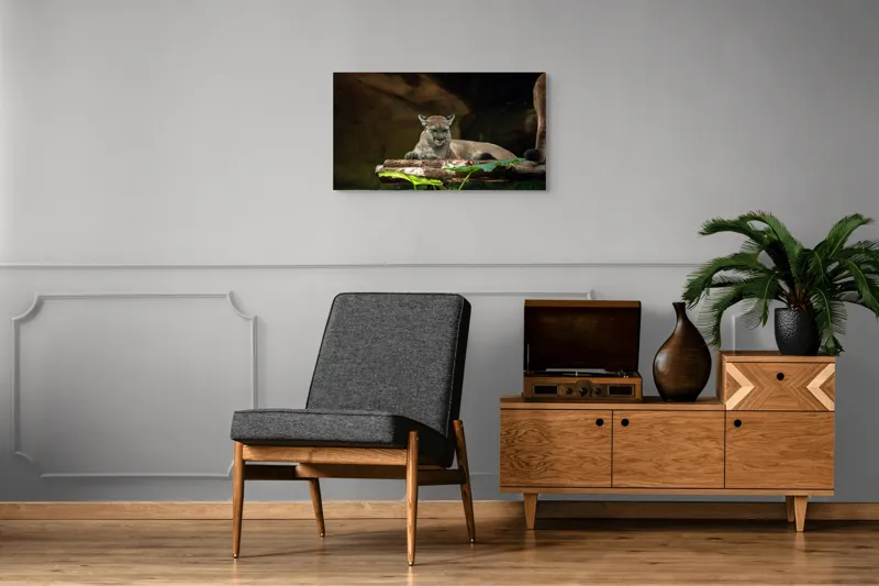 Tablou Canvas, "Puma odihnindu-se pe trunchi de copac", Pumă, Stând, Odihnă, Trunchi, Vegetație, Natură, Felină, Blană, Frunze, Umbră, 90 x 50 cm – poza 6