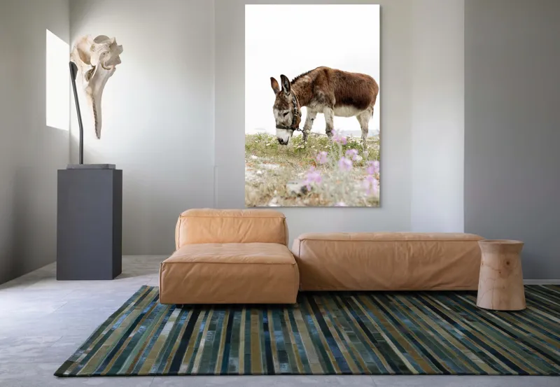 Tablou Canvas, "Măgar păscând printre flori de câmp", Calm, Blând, Verdeață, Flori, Natură, Cer, Tranquil, Mânz, Relaxant, Echilibru, 100 x 150 cm – poza 7