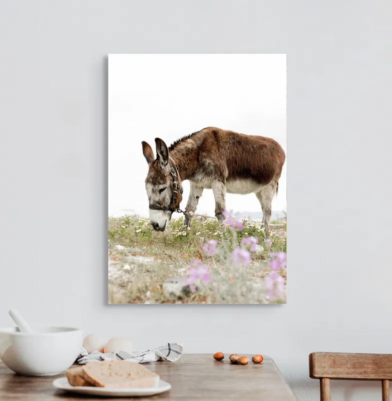Tablou Canvas, "Măgar păscând printre flori de câmp", Calm, Blând, Verdeață, Flori, Natură, Cer, Tranquil, Mânz, Relaxant, Echilibru, 50 x 70 cm – poza 3