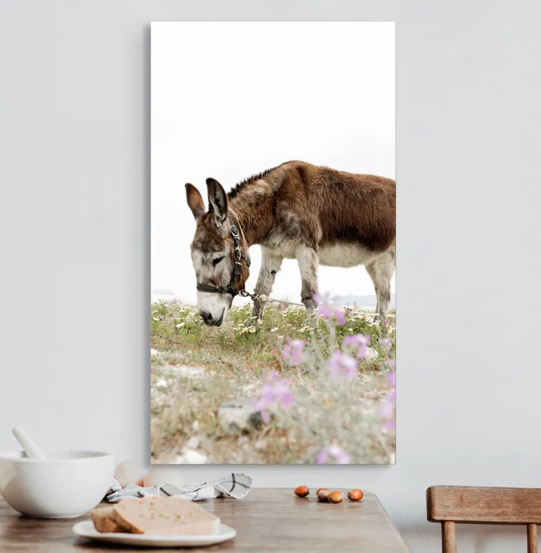 Tablou Canvas, "Măgar păscând printre flori de câmp", Calm, Blând, Verdeață, Flori, Natură, Cer, Tranquil, Mânz, Relaxant, Echilibru, 50 x 90 cm – poza 3