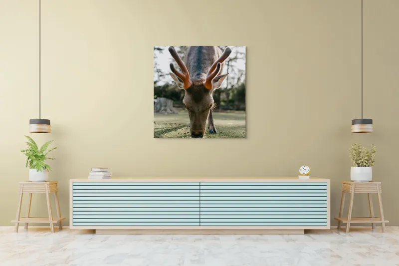 Tablou Canvas, "Cerbul în lumina dimineții de toamnă", Nu știu cine este în imagine., 100 x 100 cm – poza 5