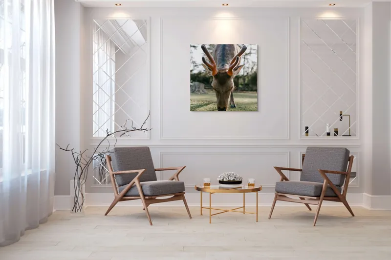 Tablou Canvas, "Cerbul în lumina dimineții de toamnă", Nu știu cine este în imagine., 100 x 100 cm – poza 7