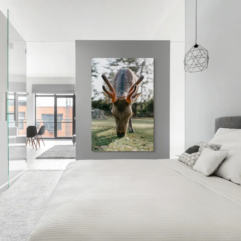 Tablou Canvas, "Cerbul în lumina dimineții de toamnă", Nu știu cine este în imagine., 100 x 150 cm – poza 5