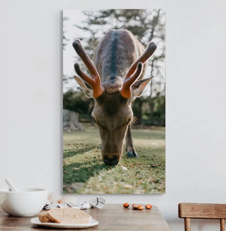 Tablou Canvas, "Cerbul în lumina dimineții de toamnă", Nu știu cine este în imagine., 50 x 90 cm – poza 3