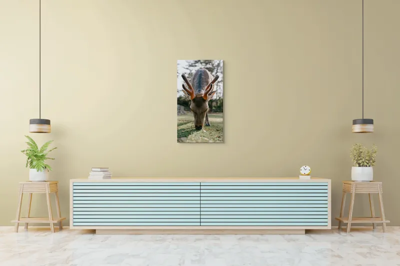 Tablou Canvas, "Cerbul în lumina dimineții de toamnă", Nu știu cine este în imagine., 50 x 90 cm – poza 6