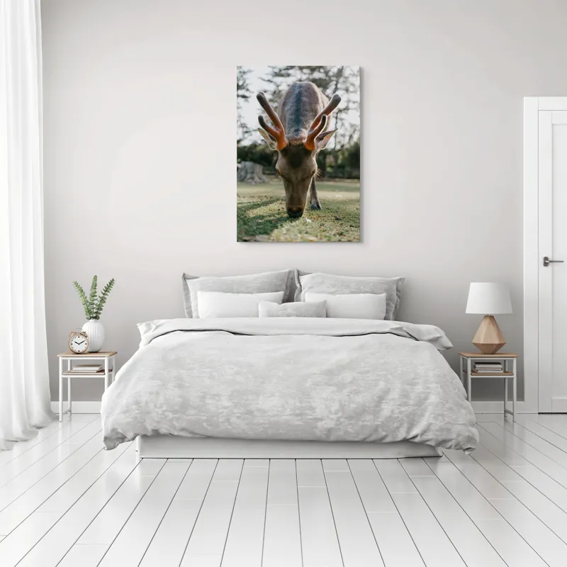 Tablou Canvas, "Cerbul în lumina dimineții de toamnă", Nu știu cine este în imagine., 70 x 100 cm – poza 3
