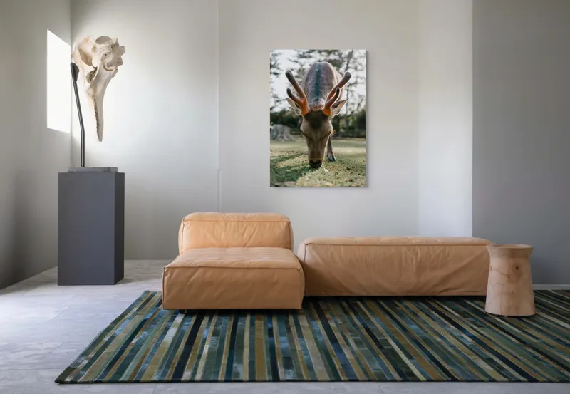 Tablou Canvas, "Cerbul în lumina dimineții de toamnă", Nu știu cine este în imagine., 70 x 100 cm – poza 7