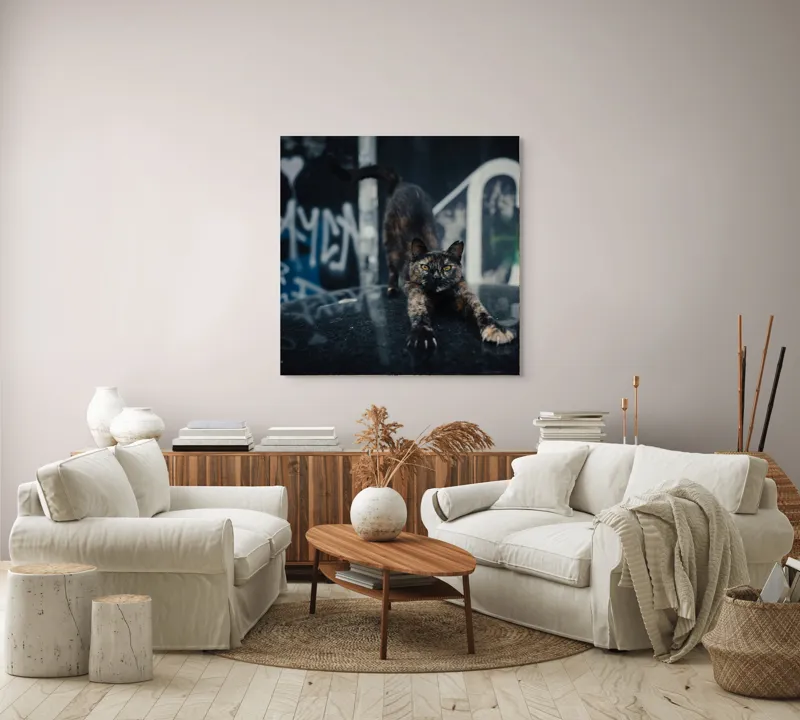 Tablou Canvas, "Pisica întinzându-se pe mașină veche", Pisică, Întindere, Blană, Graffiti, Noapte, Urban, Artă, Ochi., 100 x 100 cm – poza 3