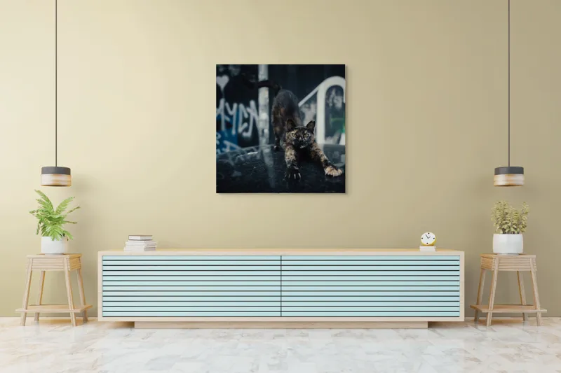 Tablou Canvas, "Pisica întinzându-se pe mașină veche", Pisică, Întindere, Blană, Graffiti, Noapte, Urban, Artă, Ochi., 100 x 100 cm – poza 5