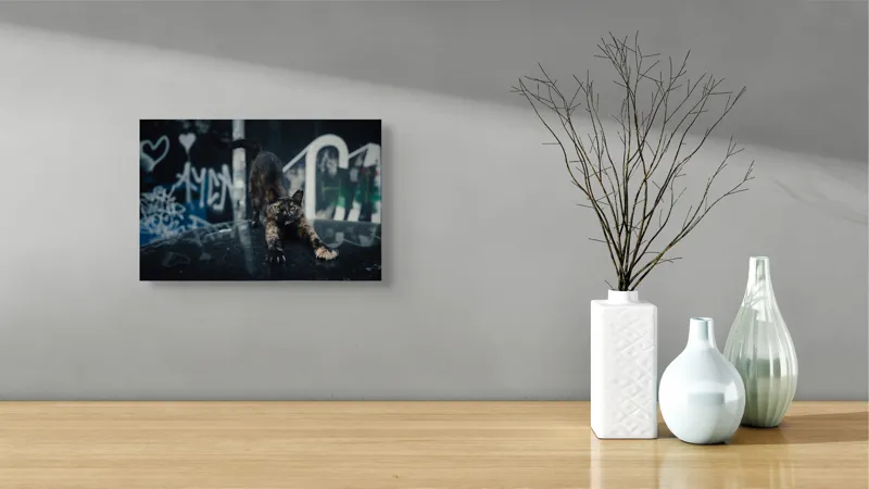 Tablou Canvas, "Pisica întinzându-se pe mașină veche", Pisică, Întindere, Blană, Graffiti, Noapte, Urban, Artă, Ochi., 39 x 26 cm – poza 8