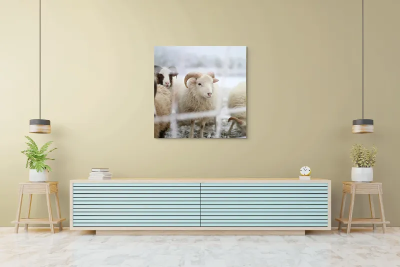 Tablou Canvas, "Oile odihnesc în zăpadă liniștită", Oi, Zăpadă, Țarcuri, Iarnă, Blană, Coarne, Peisaj, Frig, Animale, Câmp, 100 x 100 cm – poza 5