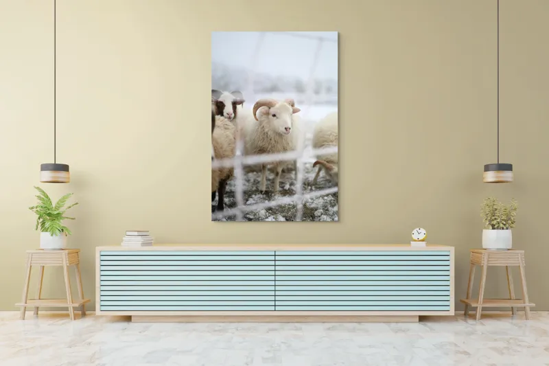 Tablou Canvas, "Oile odihnesc în zăpadă liniștită", Oi, Zăpadă, Țarcuri, Iarnă, Blană, Coarne, Peisaj, Frig, Animale, Câmp, 100 x 150 cm – poza 4