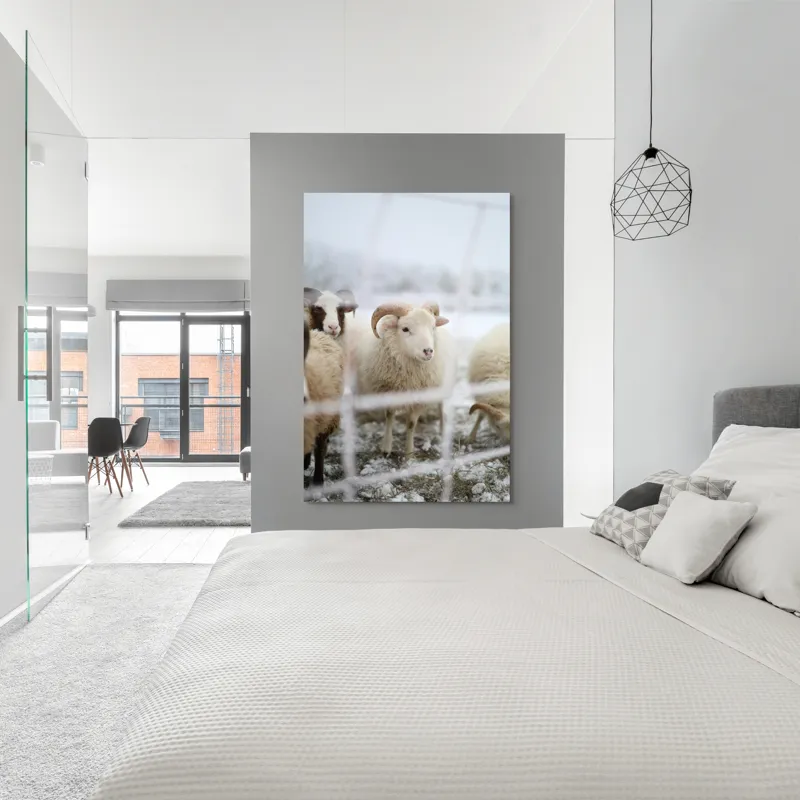 Tablou Canvas, "Oile odihnesc în zăpadă liniștită", Oi, Zăpadă, Țarcuri, Iarnă, Blană, Coarne, Peisaj, Frig, Animale, Câmp, 100 x 150 cm – poza 5