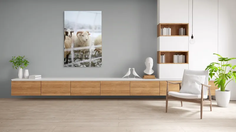 Tablou Canvas, "Oile odihnesc în zăpadă liniștită", Oi, Zăpadă, Țarcuri, Iarnă, Blană, Coarne, Peisaj, Frig, Animale, Câmp, 100 x 150 cm – poza 8