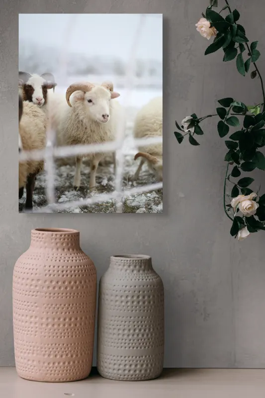 Tablou Canvas, "Oile odihnesc în zăpadă liniștită", Oi, Zăpadă, Țarcuri, Iarnă, Blană, Coarne, Peisaj, Frig, Animale, Câmp, 39 x 54 cm – poza 6