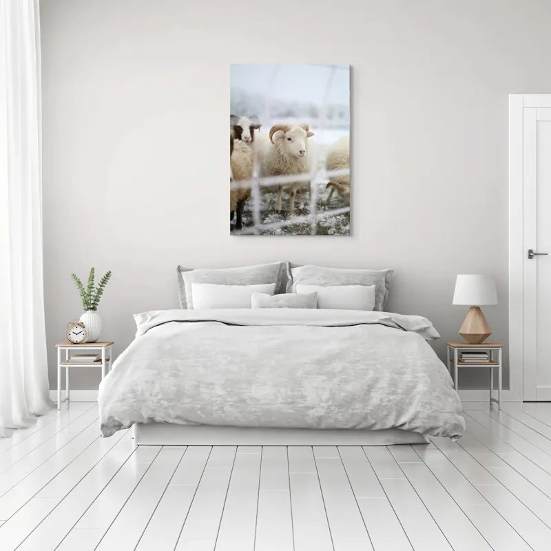 Tablou Canvas, "Oile odihnesc în zăpadă liniștită", Oi, Zăpadă, Țarcuri, Iarnă, Blană, Coarne, Peisaj, Frig, Animale, Câmp, 70 x 100 cm – poza 3