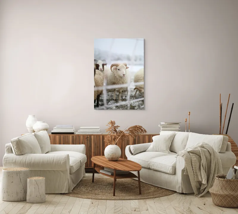 Tablou Canvas, "Oile odihnesc în zăpadă liniștită", Oi, Zăpadă, Țarcuri, Iarnă, Blană, Coarne, Peisaj, Frig, Animale, Câmp, 70 x 100 cm – poza 4
