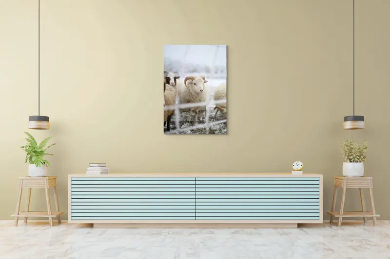 Tablou Canvas, "Oile odihnesc în zăpadă liniștită", Oi, Zăpadă, Țarcuri, Iarnă, Blană, Coarne, Peisaj, Frig, Animale, Câmp, 70 x 100 cm – poza 5