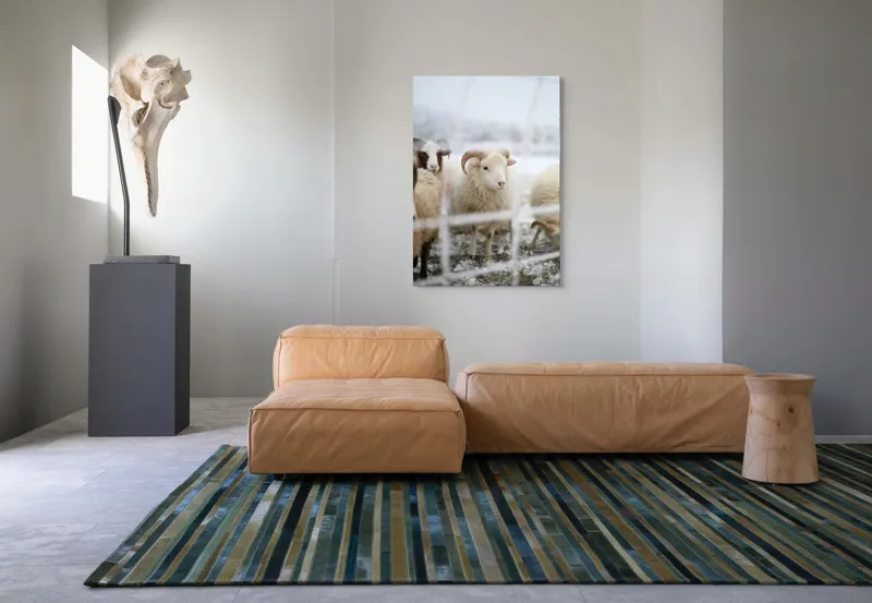 Tablou Canvas, "Oile odihnesc în zăpadă liniștită", Oi, Zăpadă, Țarcuri, Iarnă, Blană, Coarne, Peisaj, Frig, Animale, Câmp, 70 x 100 cm – poza 7