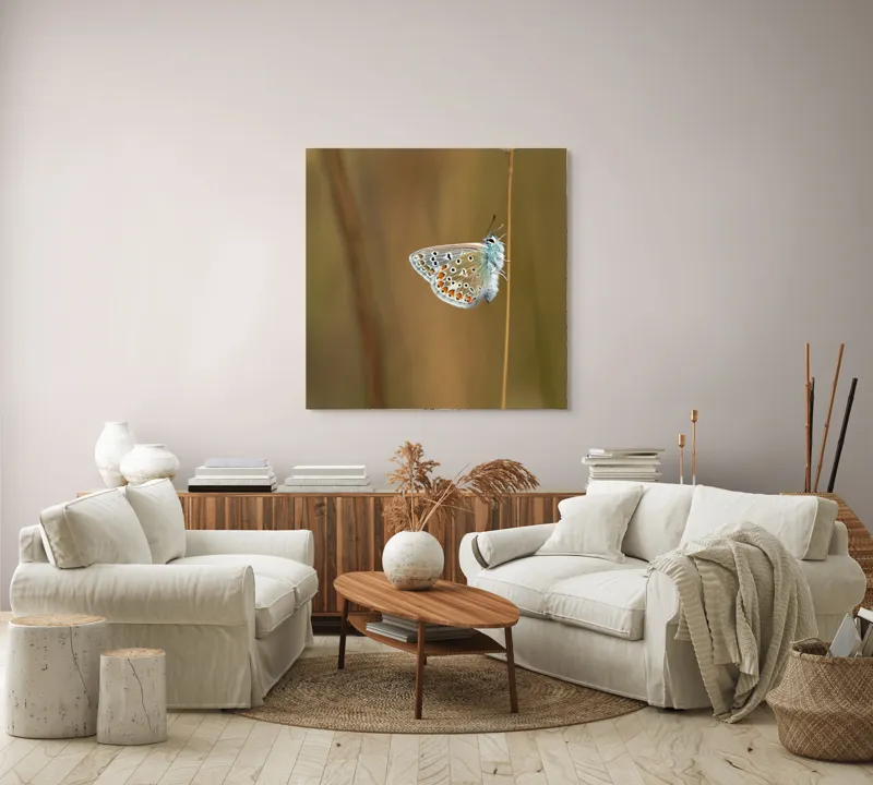 Tablou Canvas, "Fluture delicat pe tulpină subțire", Fluture, Delicat, Natură, Culori, Fragilitate, Aripă, Echilibru, Naturalețe, 100 x 100 cm – poza 3