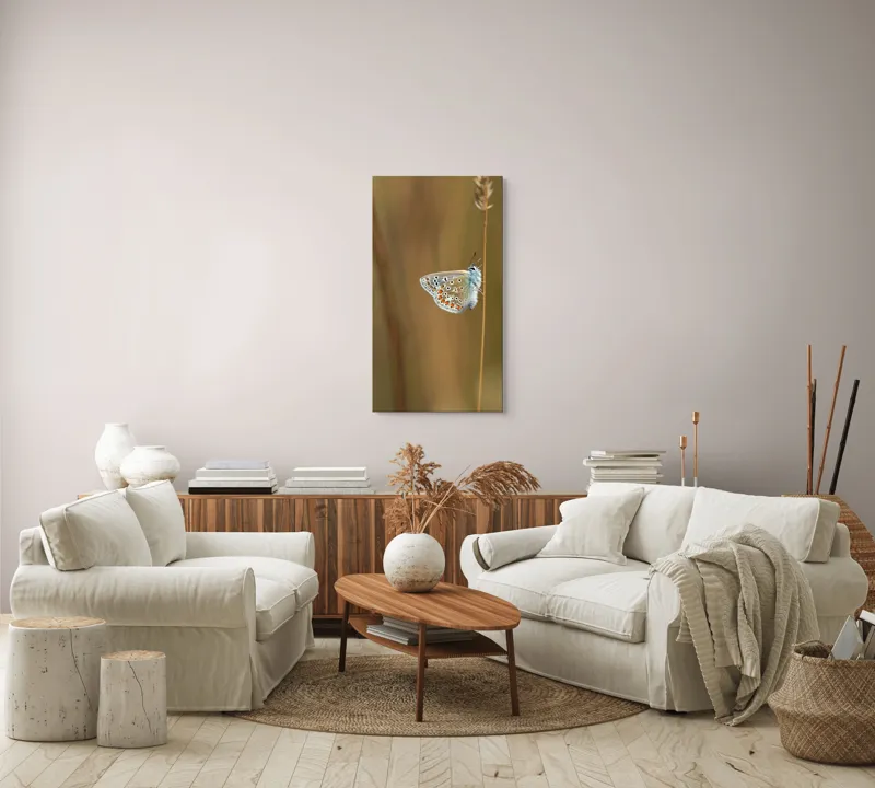 Tablou Canvas, "Fluture delicat pe tulpină subțire", Fluture, Delicat, Natură, Culori, Fragilitate, Aripă, Echilibru, Naturalețe, 50 x 90 cm – poza 7