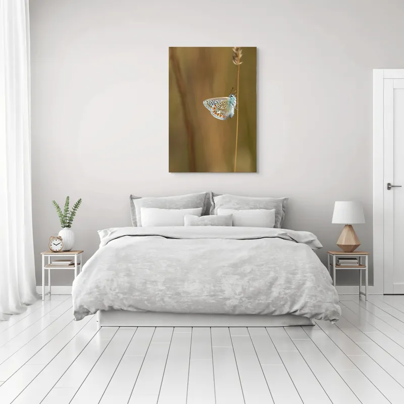 Tablou Canvas, "Fluture delicat pe tulpină subțire", Fluture, Delicat, Natură, Culori, Fragilitate, Aripă, Echilibru, Naturalețe, 70 x 100 cm – poza 3