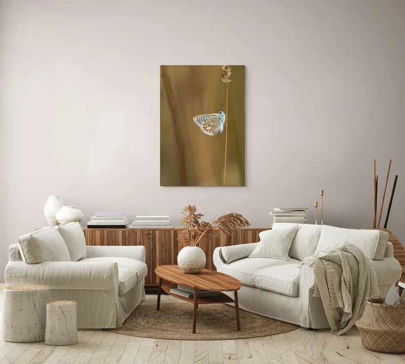 Tablou Canvas, "Fluture delicat pe tulpină subțire", Fluture, Delicat, Natură, Culori, Fragilitate, Aripă, Echilibru, Naturalețe, 70 x 100 cm – poza 4