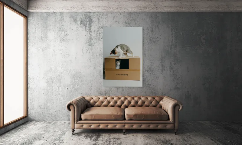 Tablou Canvas, "Pisica curajoasă în cutie misterioasă", Playful, Curious, Protective, Cozy, Mischievous, Surprising, 100 x 150 cm – poza 6