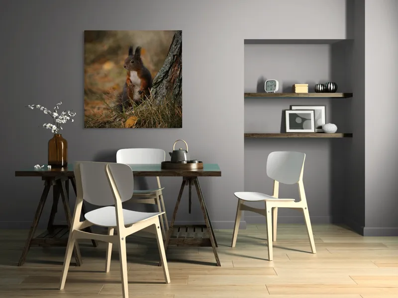 Tablou Canvas, "Veverița curioasă la marginea pădurii", Veveriță, Pădure, Trunchi, Blană, Toamnă, Frunze, Natură, Ghinde, Urechiușe, Ochii, Blândă, Curioasă, 100 x 100 cm – poza 6