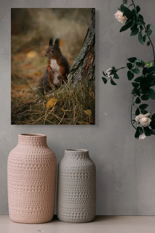 Tablou Canvas, "Veverița curioasă la marginea pădurii", Veveriță, Pădure, Trunchi, Blană, Toamnă, Frunze, Natură, Ghinde, Urechiușe, Ochii, Blândă, Curioasă, 39 x 54 cm – poza 6