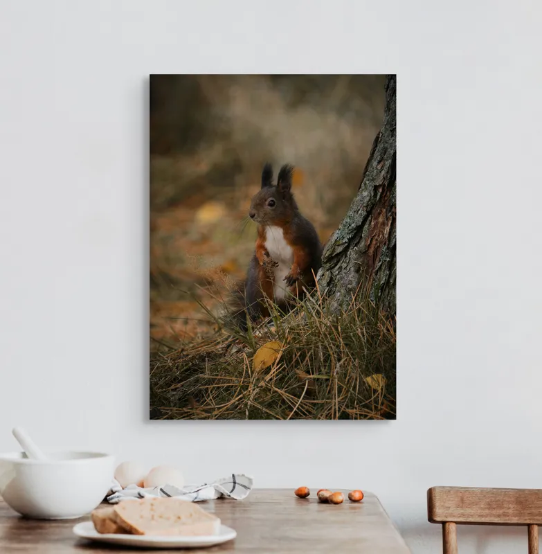 Tablou Canvas, "Veverița curioasă la marginea pădurii", Veveriță, Pădure, Trunchi, Blană, Toamnă, Frunze, Natură, Ghinde, Urechiușe, Ochii, Blândă, Curioasă, 50 x 70 cm – poza 3