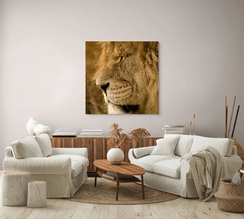 Tablou Canvas, "Regele savanei doarme liniștit", Leu, Blană, Somn, Serenitate, Mândrie, Majestuos, Natură, Grație, Putere, 100 x 100 cm – poza 3