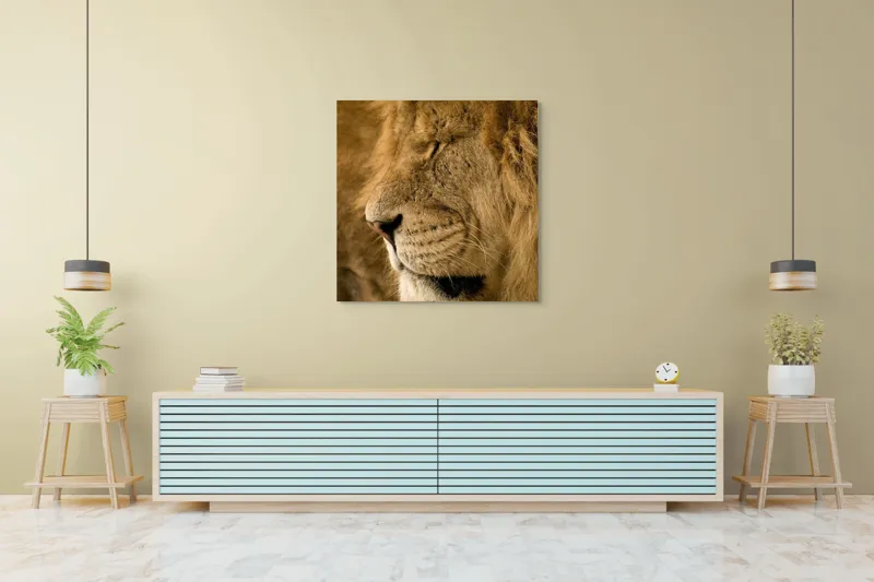 Tablou Canvas, "Regele savanei doarme liniștit", Leu, Blană, Somn, Serenitate, Mândrie, Majestuos, Natură, Grație, Putere, 100 x 100 cm – poza 5