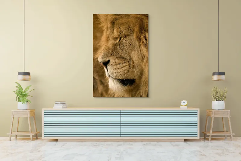 Tablou Canvas, "Regele savanei doarme liniștit", Leu, Blană, Somn, Serenitate, Mândrie, Majestuos, Natură, Grație, Putere, 100 x 150 cm – poza 4
