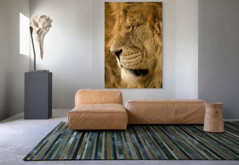 Tablou Canvas, "Regele savanei doarme liniștit", Leu, Blană, Somn, Serenitate, Mândrie, Majestuos, Natură, Grație, Putere, 100 x 150 cm – poza 7