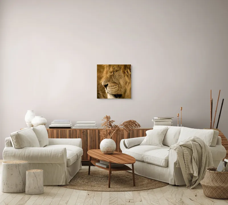 Tablou Canvas, "Regele savanei doarme liniștit", Leu, Blană, Somn, Serenitate, Mândrie, Majestuos, Natură, Grație, Putere, 50 x 50 cm – poza 7