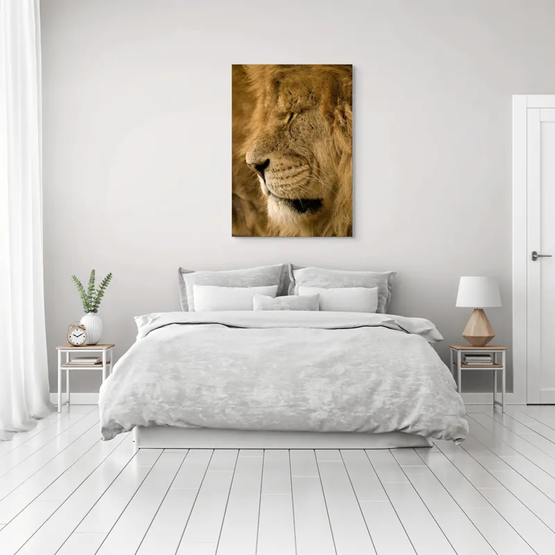 Tablou Canvas, "Regele savanei doarme liniștit", Leu, Blană, Somn, Serenitate, Mândrie, Majestuos, Natură, Grație, Putere, 70 x 100 cm – poza 3