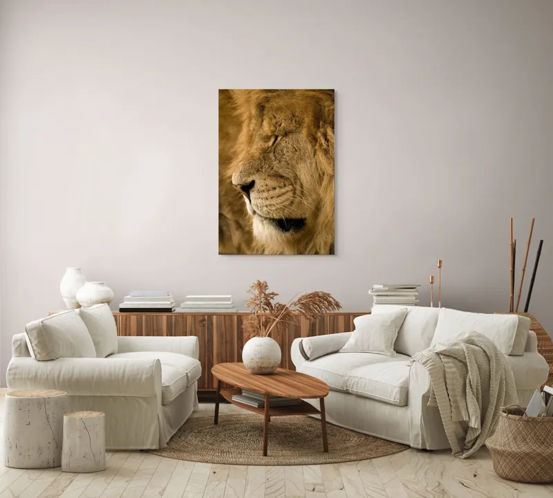 Tablou Canvas, "Regele savanei doarme liniștit", Leu, Blană, Somn, Serenitate, Mândrie, Majestuos, Natură, Grație, Putere, 70 x 100 cm – poza 4