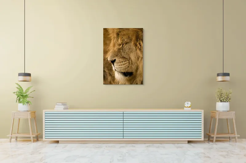 Tablou Canvas, "Regele savanei doarme liniștit", Leu, Blană, Somn, Serenitate, Mândrie, Majestuos, Natură, Grație, Putere, 70 x 100 cm – poza 5